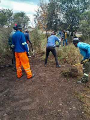 Professional cleaning and landscaping services for commercial and residential properties in South Africa.